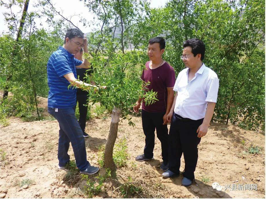 兴县新闻网 ▲图  市环保局选派驻罗峪口镇东豆宇村第一书记李兵兵