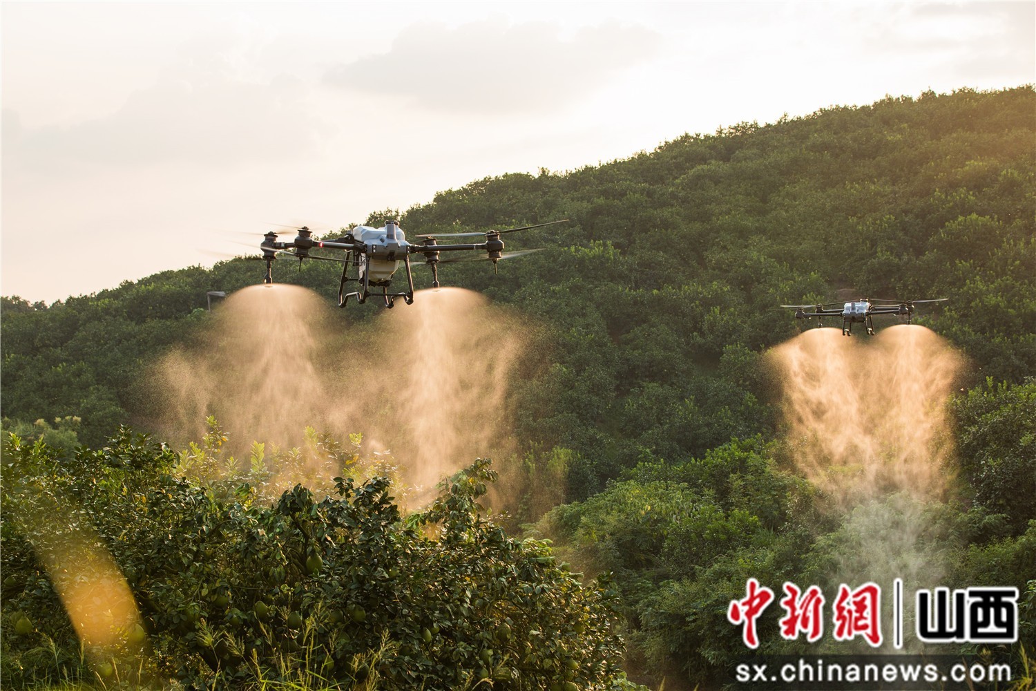 让农业生产更轻松 大疆农业无人机t40,t20p发布