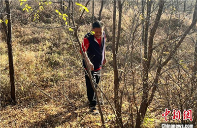 （新春走基层）西岳华山“开新年” 非遗民俗尽显浓浓年味 山西新闻