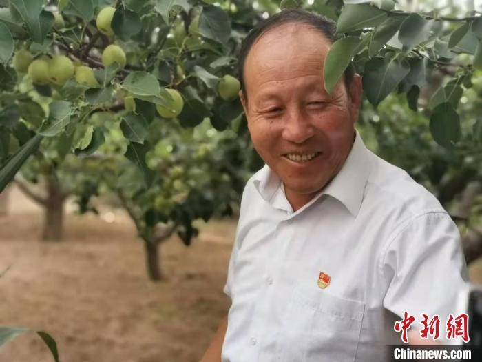 "酥梨之乡"山西原平:万亩梨园挂满枝 乡村振兴产业旺